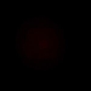 Meet your Posher, Eva